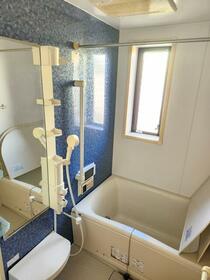 5/12 その他画像