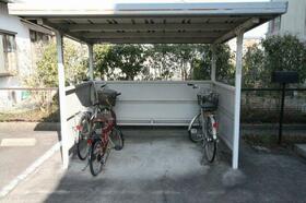 11/19 その他画像