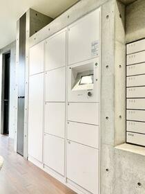 15/16 その他画像