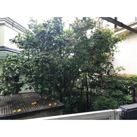 16/17 その他画像