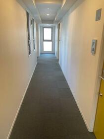 8/17 その他画像