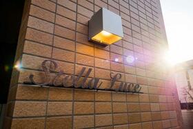 15/16 その他画像