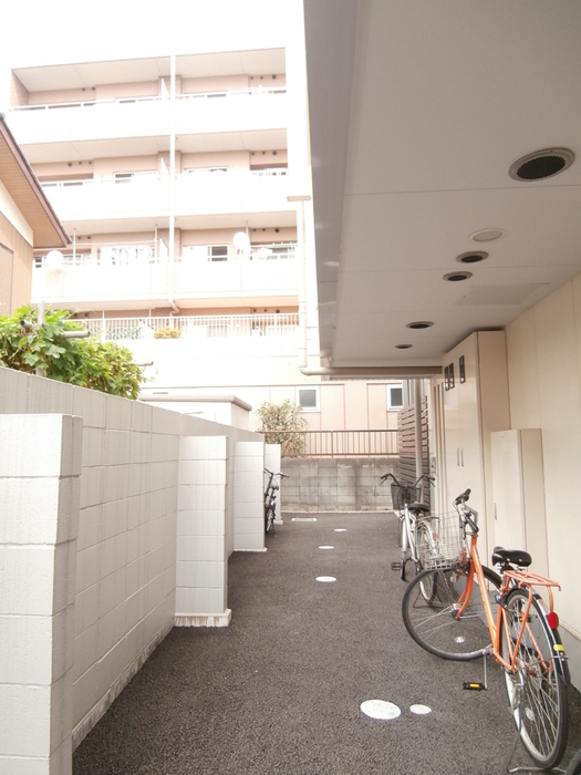 15/17 その他画像