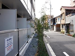 11/16 エントランス