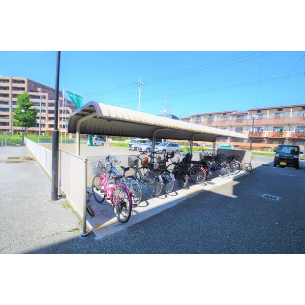 6/15 その他画像