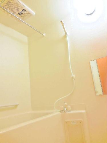 11/23 その他画像