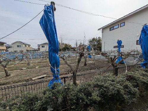 10/14 その他画像