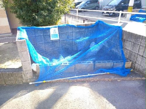 11/14 その他画像