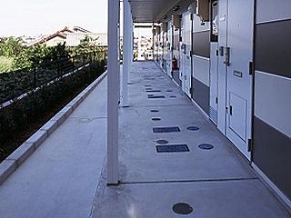 8/14 その他画像