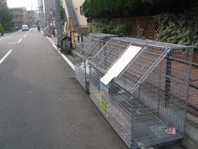 15/16 その他画像