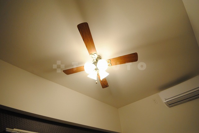 17/26 その他画像