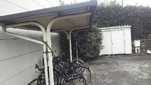 12/14 その他画像