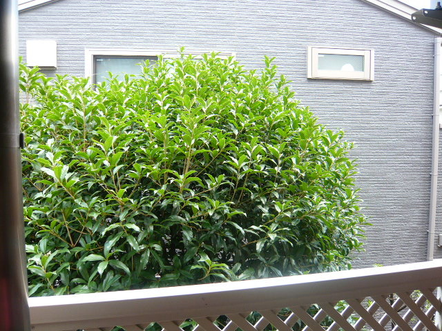 13/27 その他画像