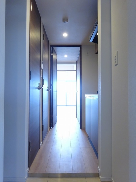 11/15 その他画像