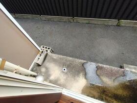 13/13 その他画像