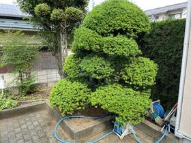 12/12 その他画像