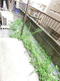 12/15 バルコニー