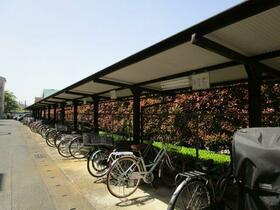 13/16 その他画像