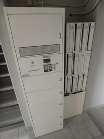 6/16 その他画像