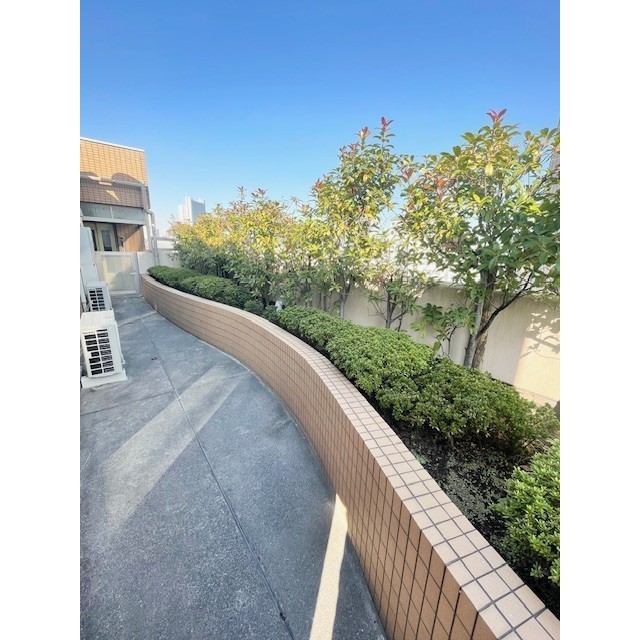 13/22 その他画像