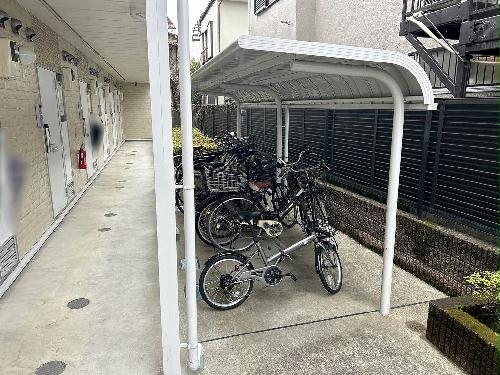 11/14 その他画像