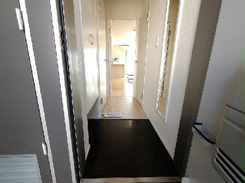 8/14 その他画像