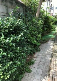 13/13 その他画像