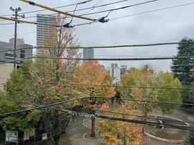 13/13 その他画像