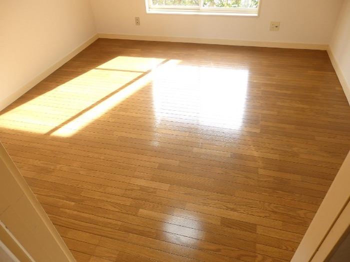 15/15 その他画像