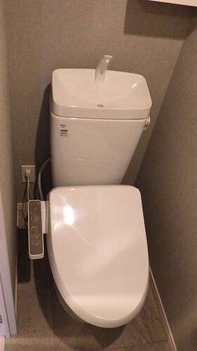 6/11 その他画像