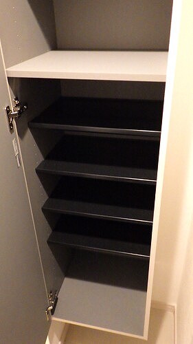 11/11 その他画像