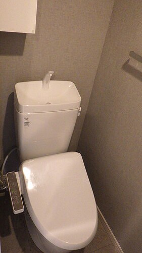 6/11 その他画像