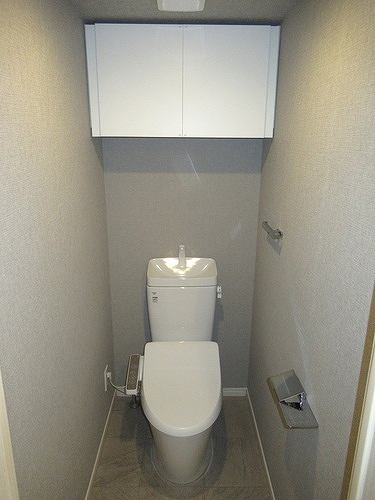 6/11 その他画像