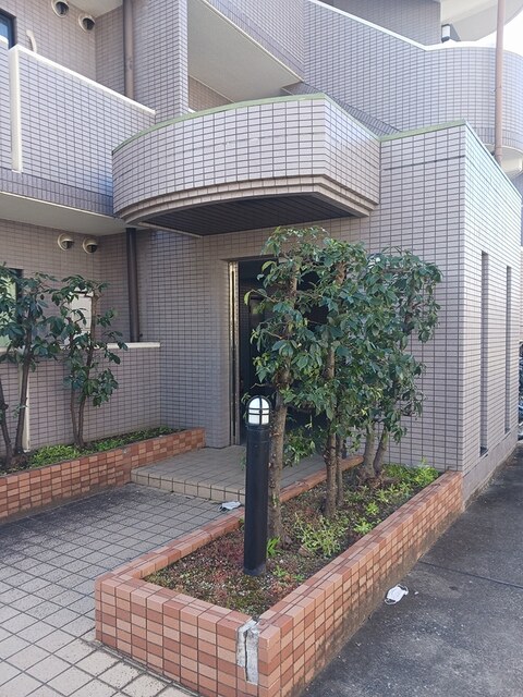 3/20 その他画像