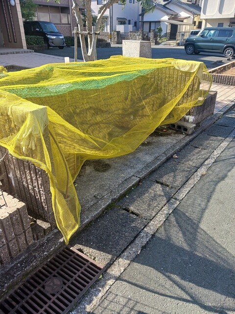 11/20 その他画像