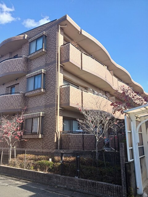 13/20 その他画像