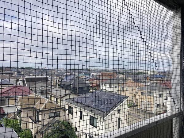 13/26 その他画像