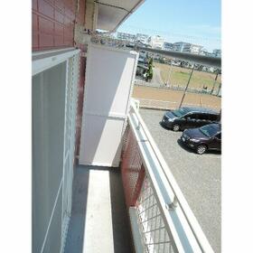 11/11 その他画像