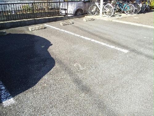 11/14 その他画像