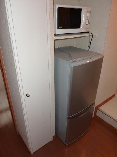 11/14 その他画像