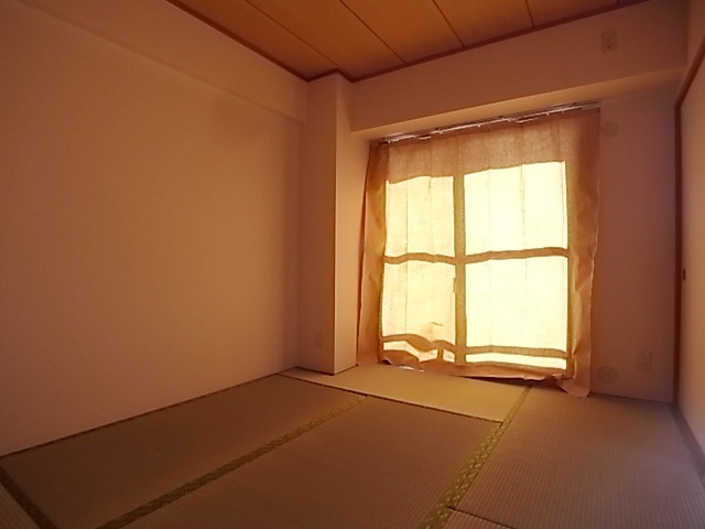 14/17 その他画像