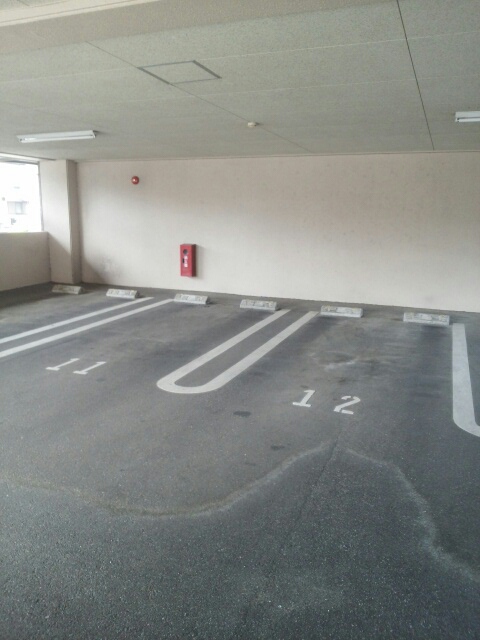 3/20 その他画像