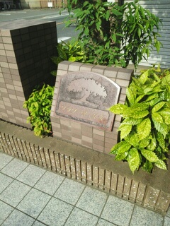 4/20 その他画像