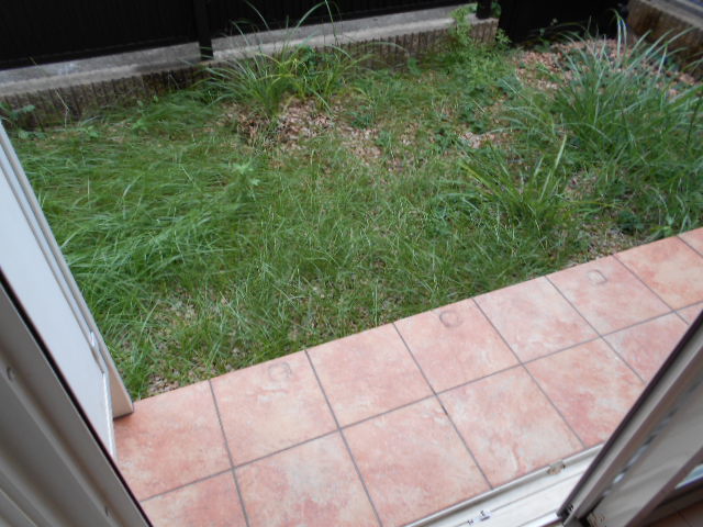 11/23 その他画像