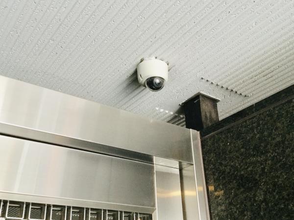 26/29 その他画像