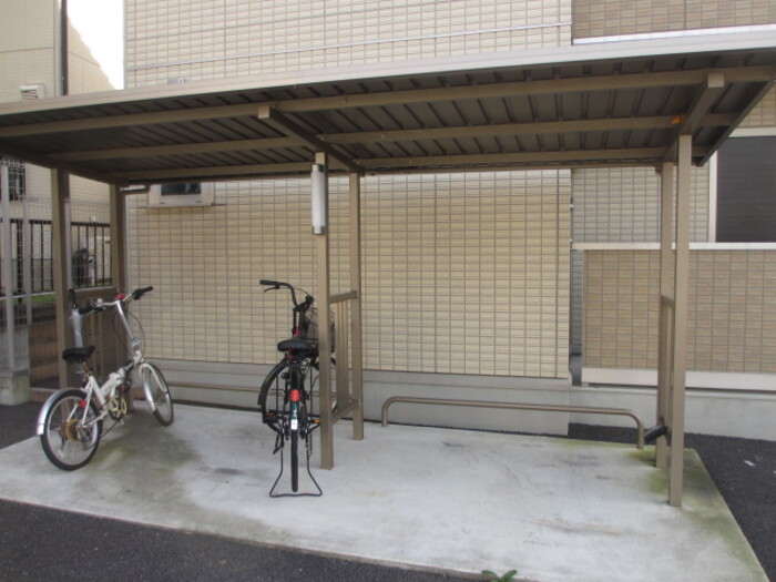 15/19 その他画像