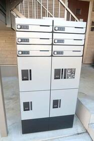 15/16 その他画像