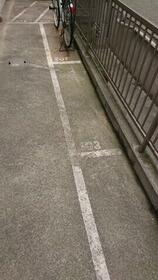 11/11 その他画像