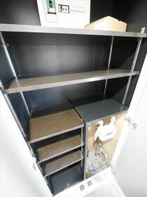 6/16 その他画像