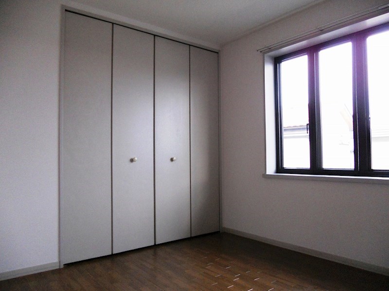 11/11 その他画像